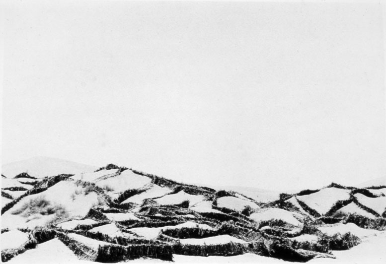 Desert Control, BW 1